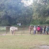 Center Peace Farm Image