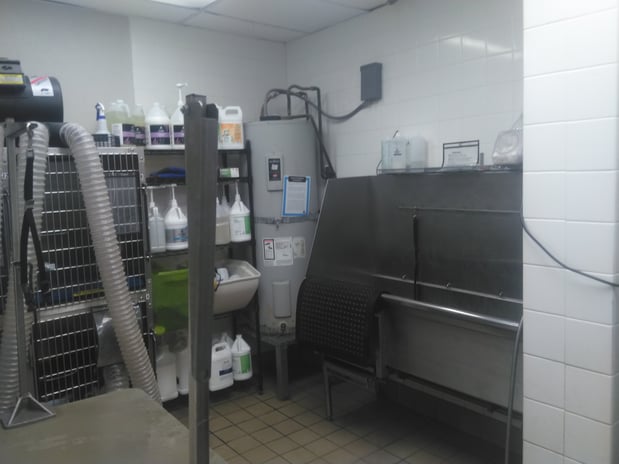 Images Petco Grooming