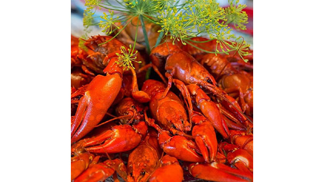 Images Brynolf Bagare i Västerås AB