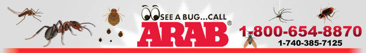Images Arab Pest Control