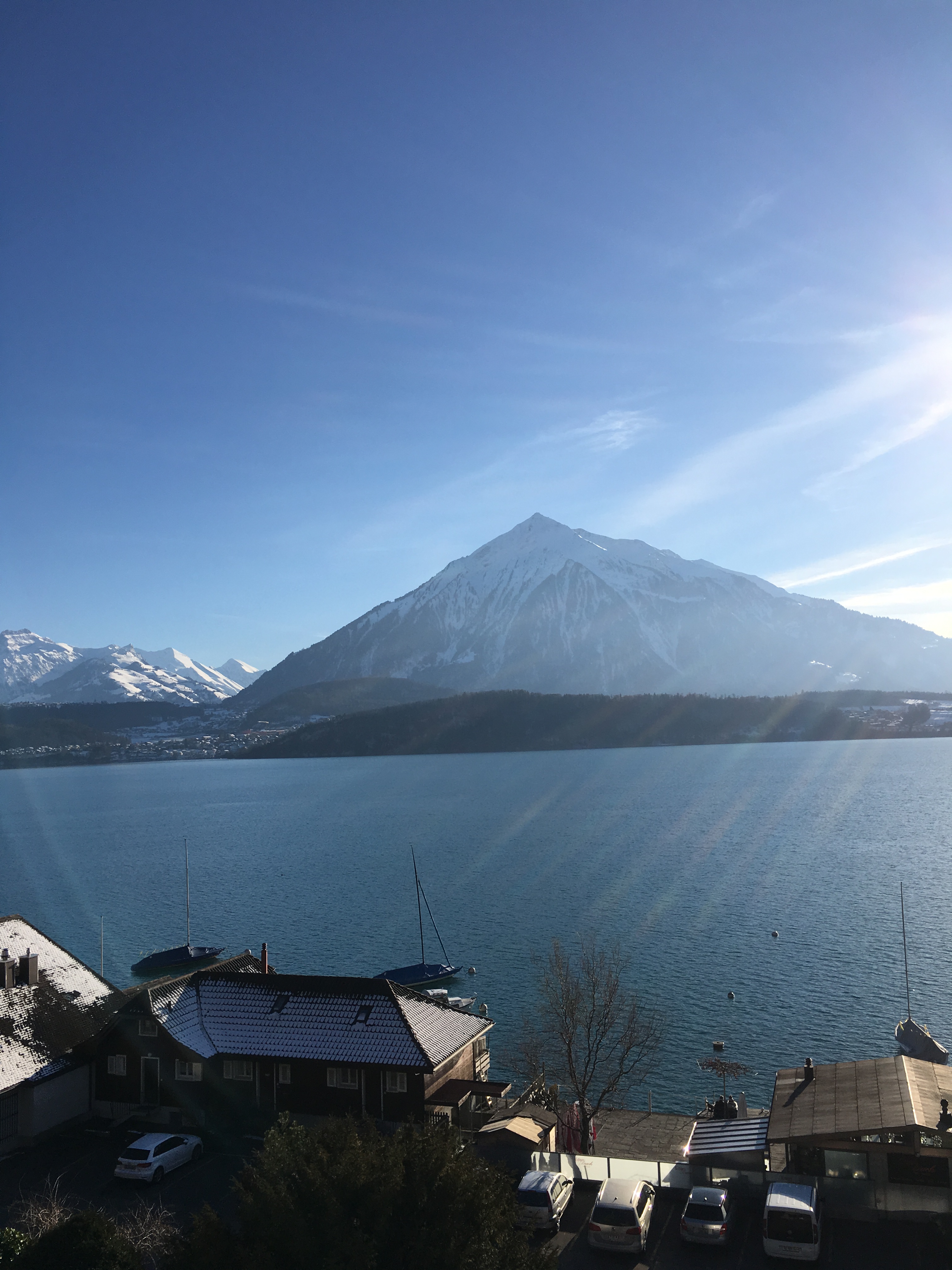 Terra-Domus-Immobilien AG, Stöckliweg 15 in Thun