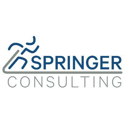 Logo Springer Consulting