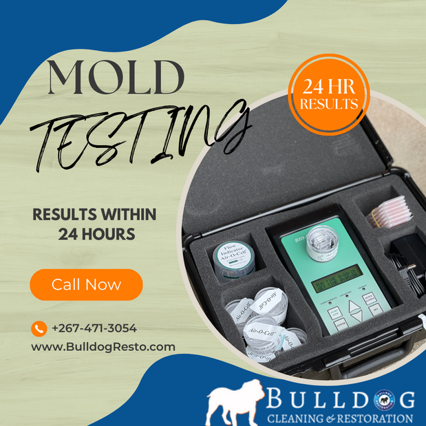 Images Bulldog Cleaning & Restoration