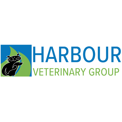 Harbour Veterinary Group - Drayton Logo