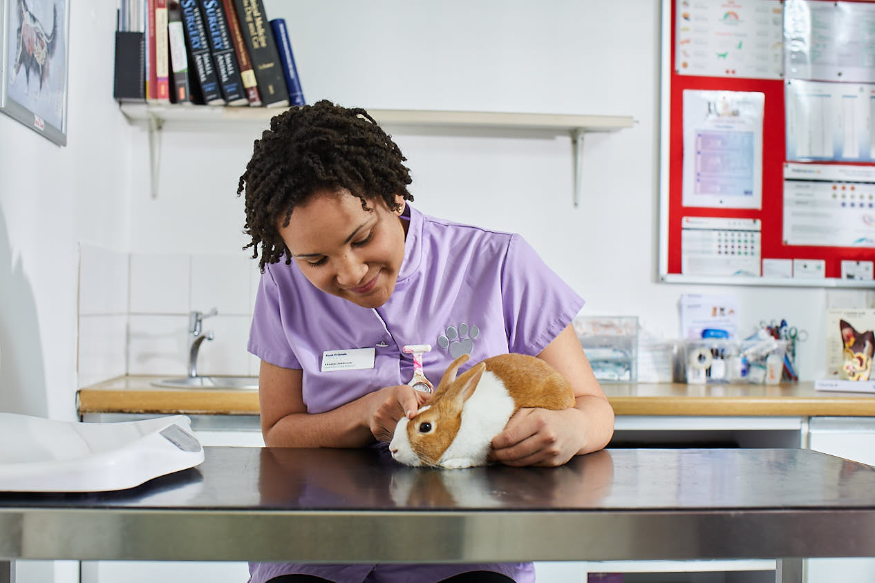 Images Broughton Veterinary Group, Leicester