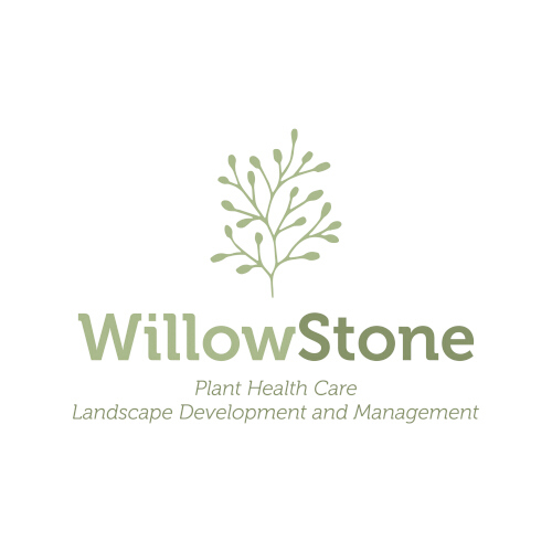 WillowStone