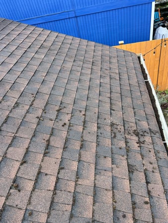 Images Vasa Construction LLC