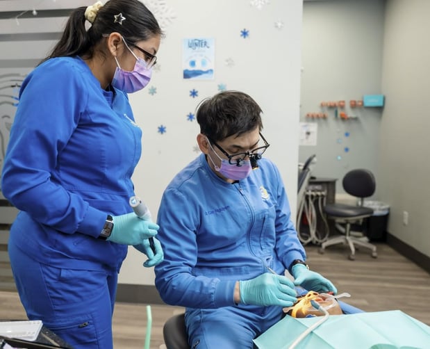 Images Stellar Orthodontics