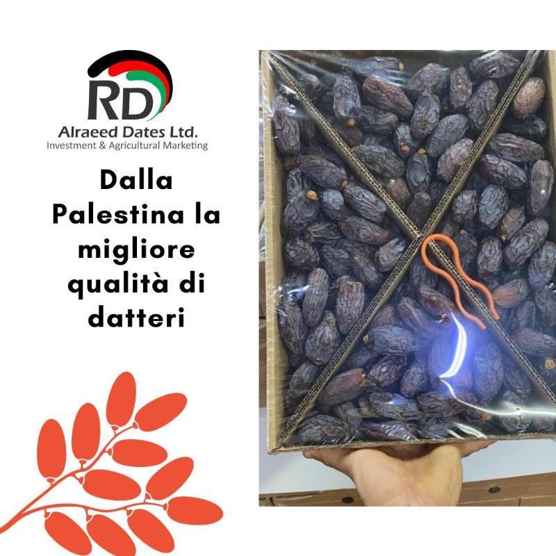 Images Sansovino Alimentari