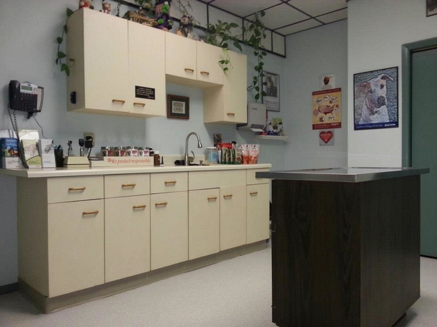 Images Atlantic Highlands Animal Hospital