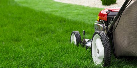 Images Lawn Care Equipment Company