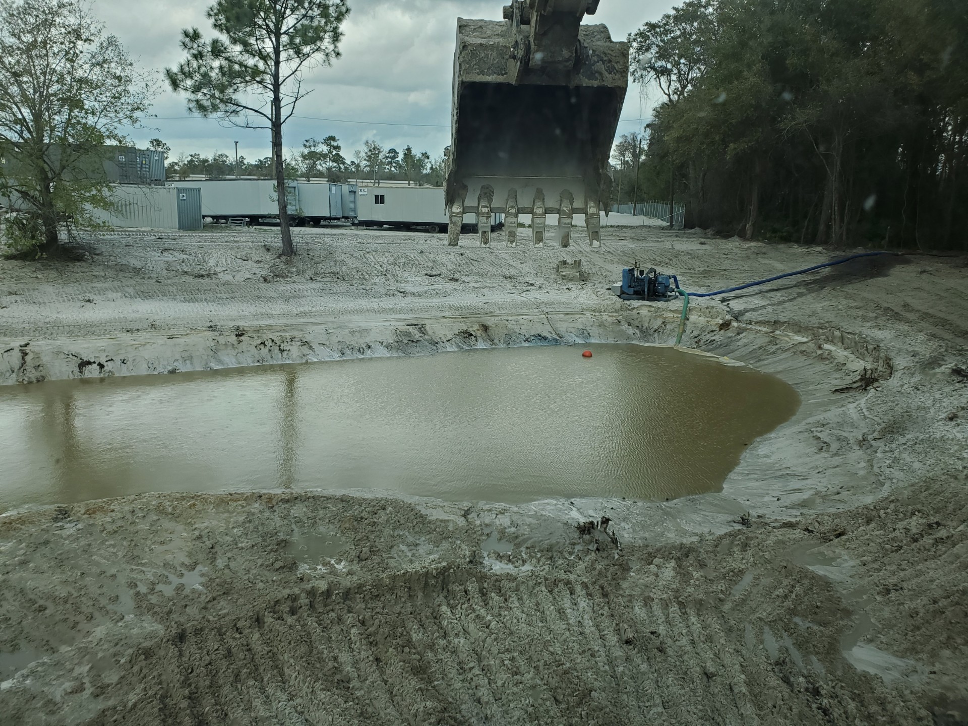 Big Cat Excavating Photo