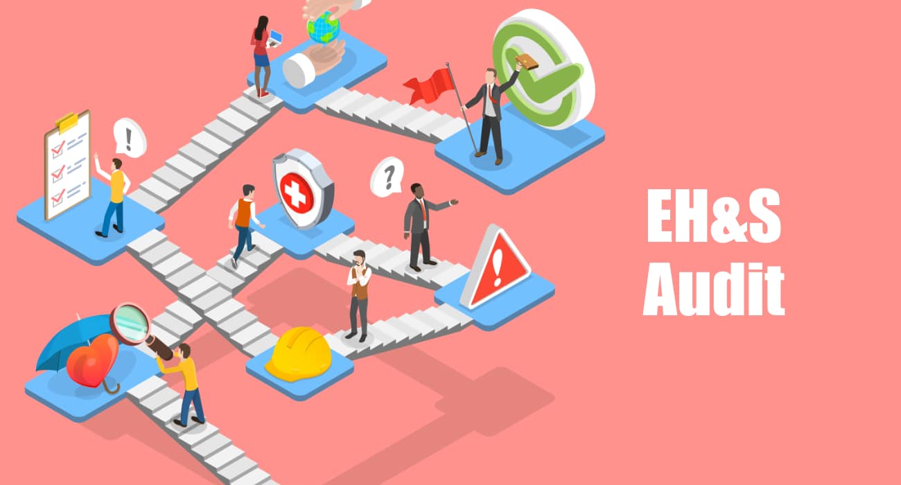 EH&S Audit Professional
