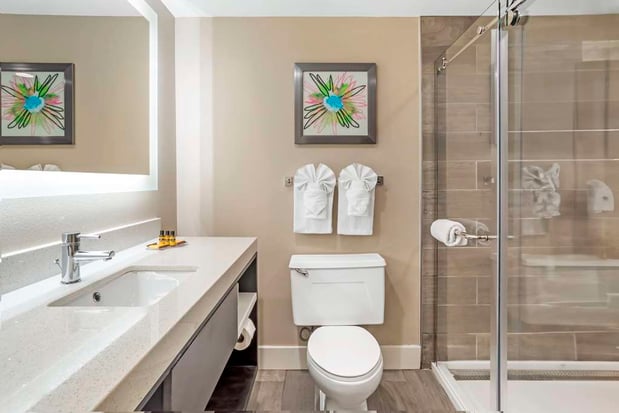 Images Best Western Plus Greenville I-385 Inn & Suites