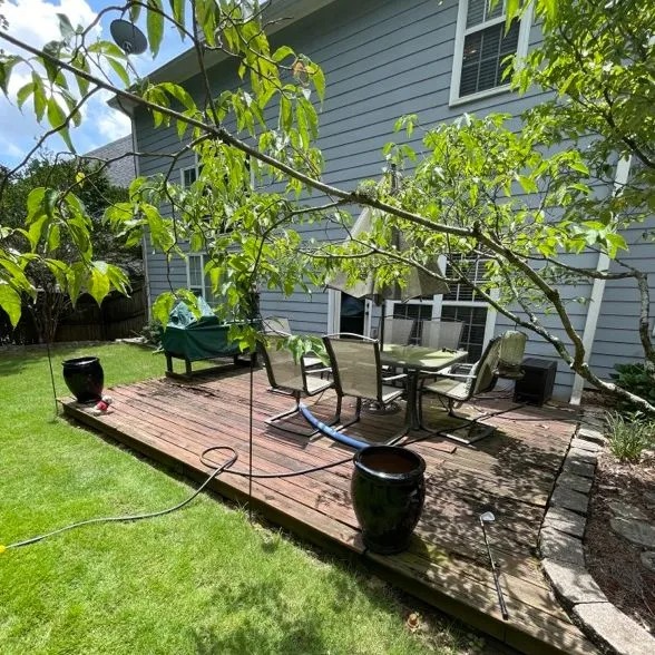Wooden deck with patio furniture, surrounded by greenery and potted plants.