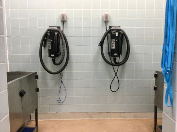 Images Petco Grooming