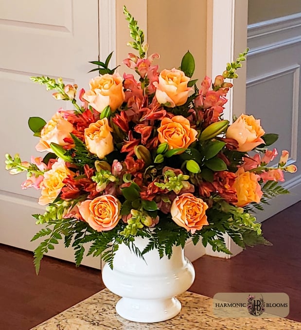 Images Harmonic Blooms