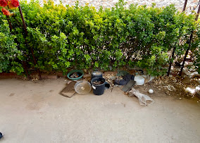 Zamora's Yard Cleanup And Junk Removal Services LLC Image