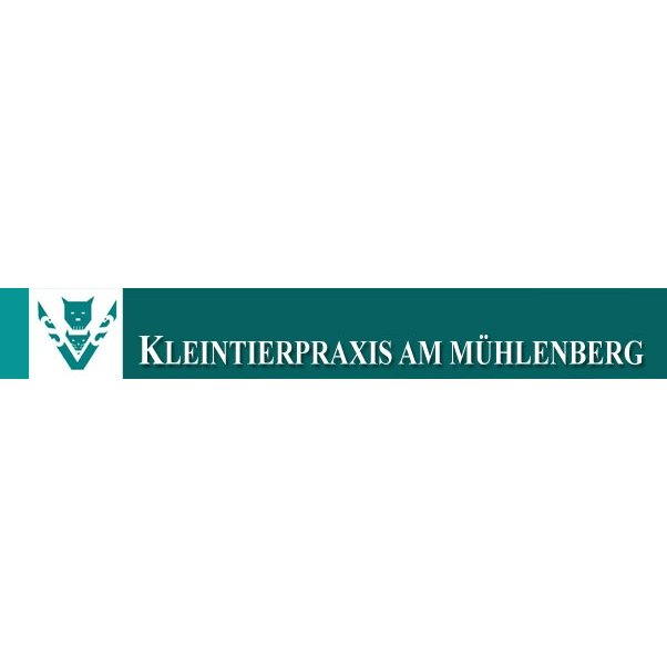 Dr. med. vet. Nicola Schneider Kleintierpraxis Am Mühlenberg in Börger