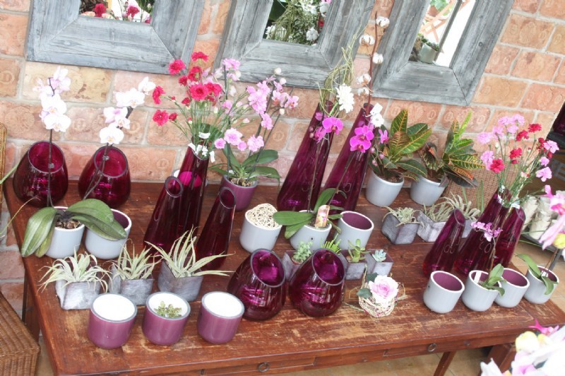 Gartencenter Jedlersdorf - Ing. Josef Hübel, Jedlersdorfer Straße 141 in Wien