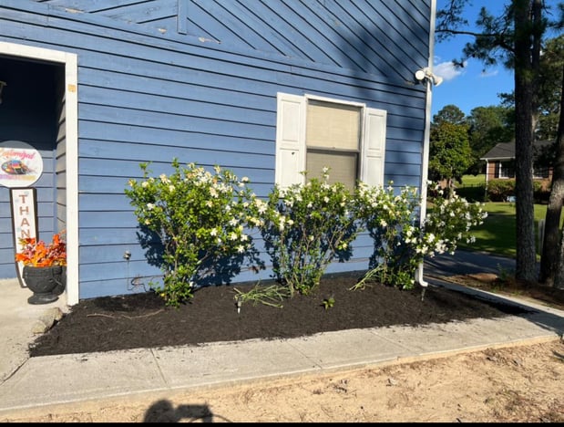 Images Lopez Tree Services and Landscaping