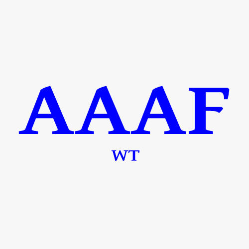 AAAF Wholesale Transmission Inc Logo