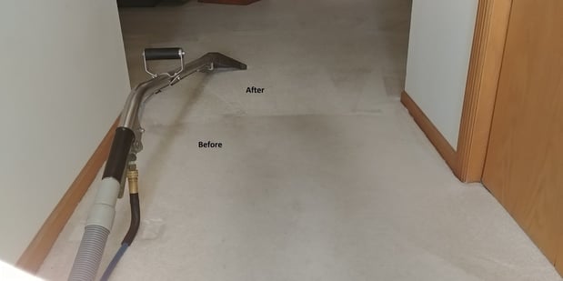 Images DJ Burris Quality Carpet Cleaning