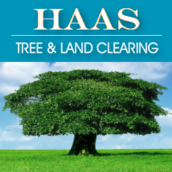 Haas Tree & Land Clearing