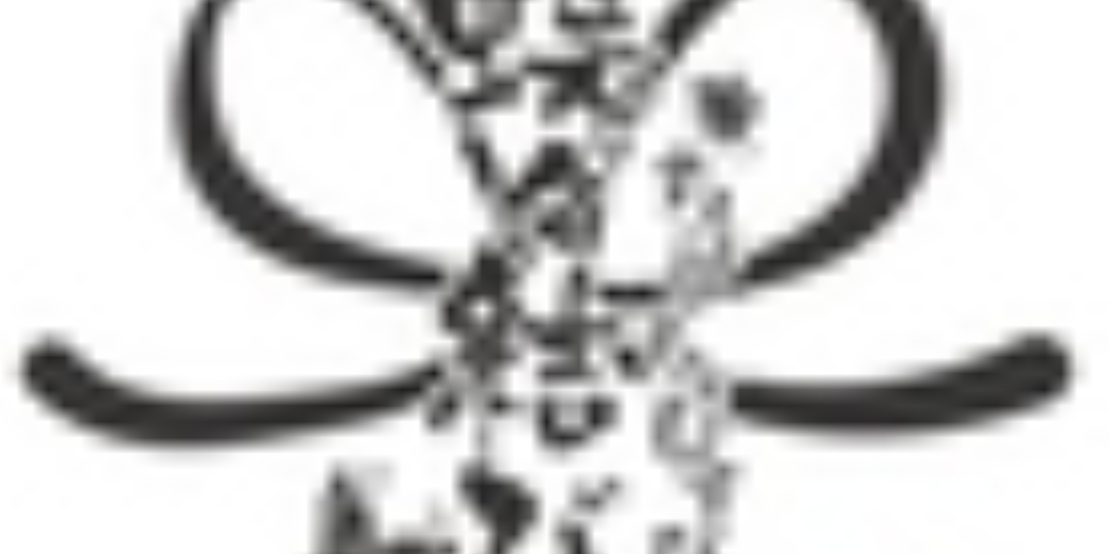 Images 炭火焼き鳥 蝶々結び