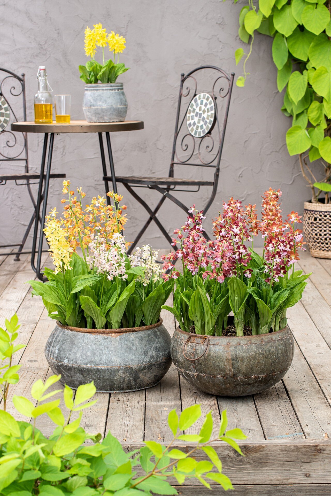 Bilder Gartenwerkstatt Schreiner, Inhaberin Sabine Schreiner