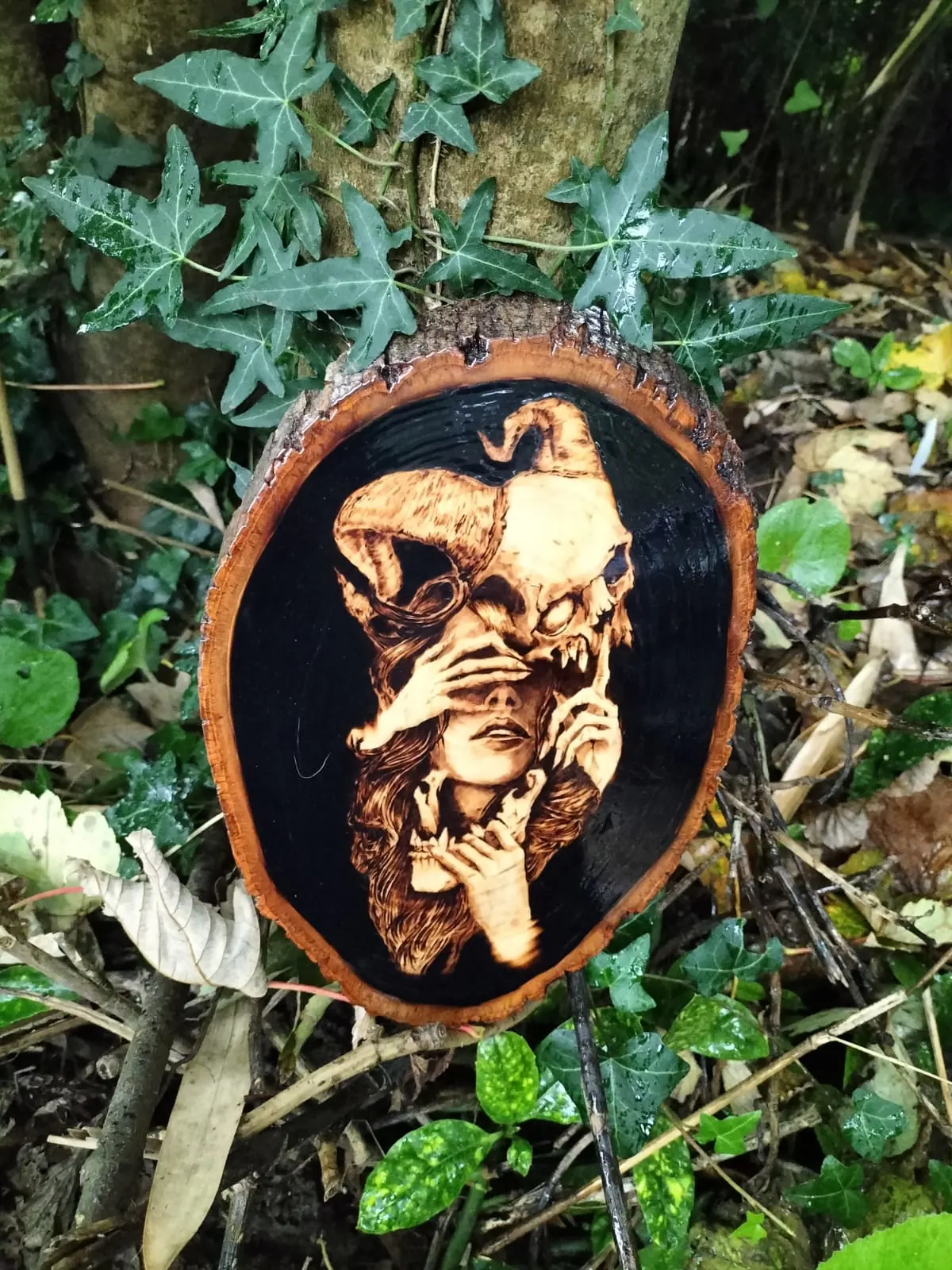 Images Unleashed Creations Ltd