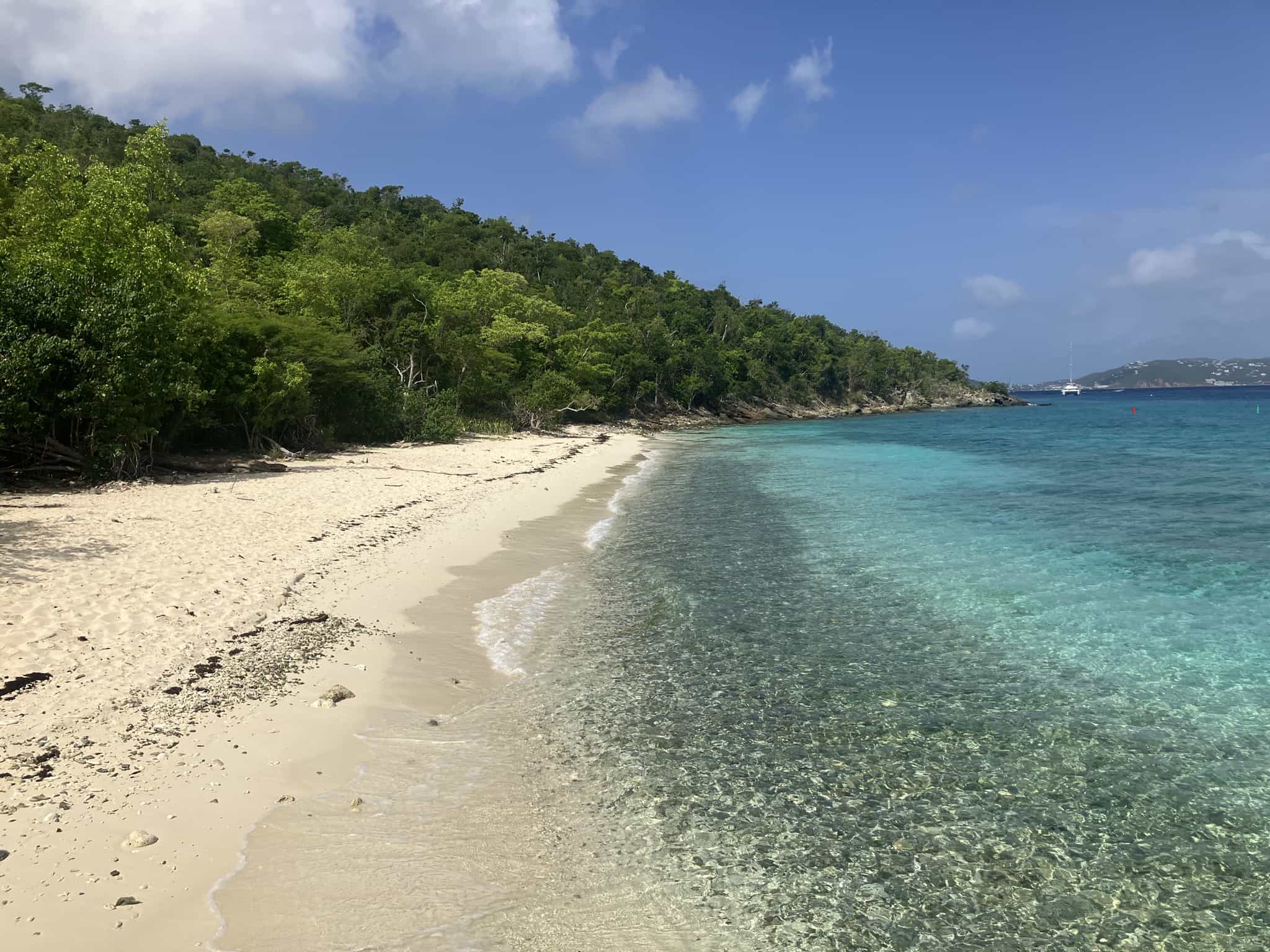 Salomon Bay Beach St John U S Virgin Island Beaches