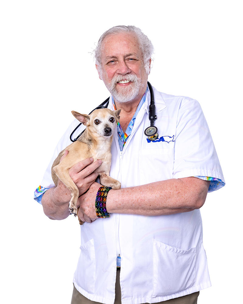 Image 25 | VCA Health Associates Animal Hospital