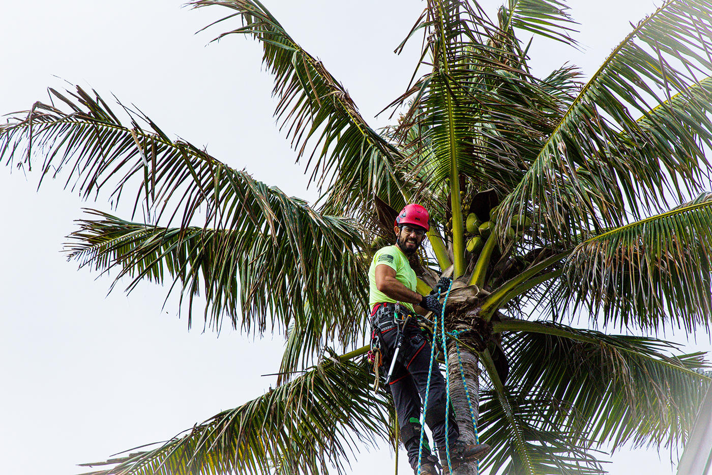 On a picturesque property in Oahu, Hawaii, a tree service worker uses a wood chipper to recycle tree branches, promoting sustainability.