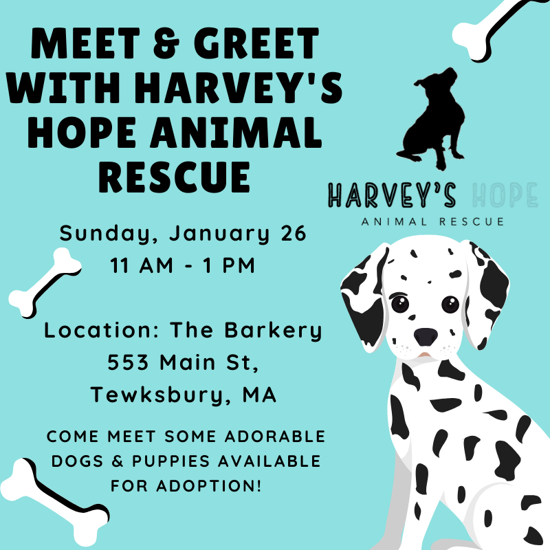 Meet & Greet With Harvey's Hope Animal Rescue The Barkery