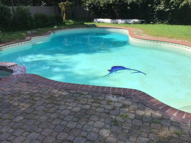 Images Big Splash Pool Service