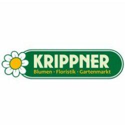 Blumen Krippner in Oettingen in Bayern - Logo