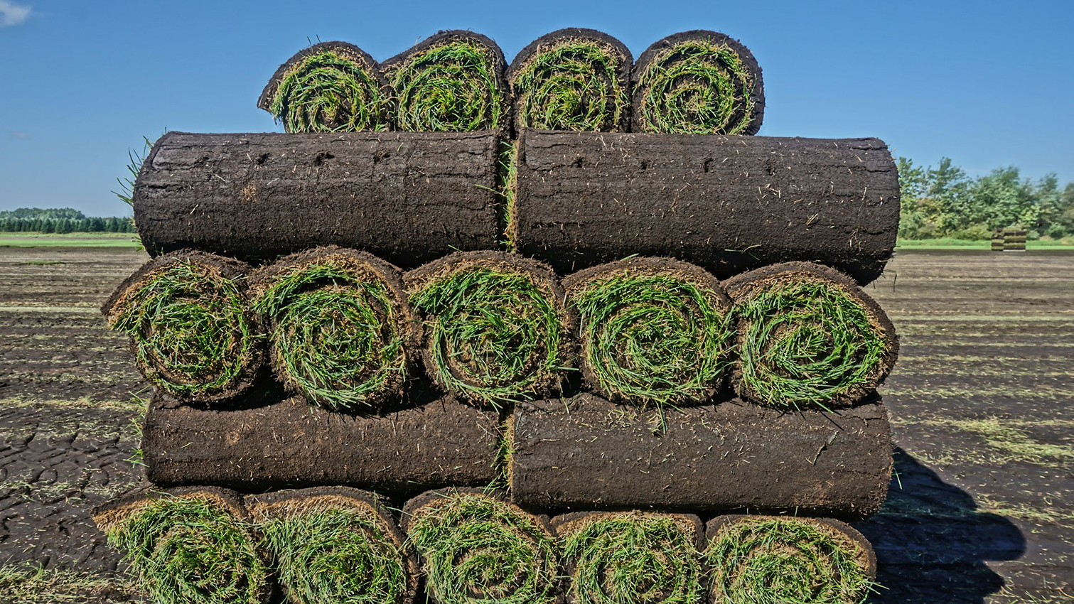 Professional results made easy. GreenTurf Sod Farms offers full-service installation. We handle everything from delivery to laying the turf, so you can just sit back and enjoy the view!