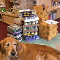 Images RJ Paddywacks Pet Outfitter