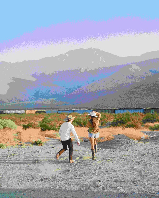 Images Avalon Hotel & Bungalows Palm Springs