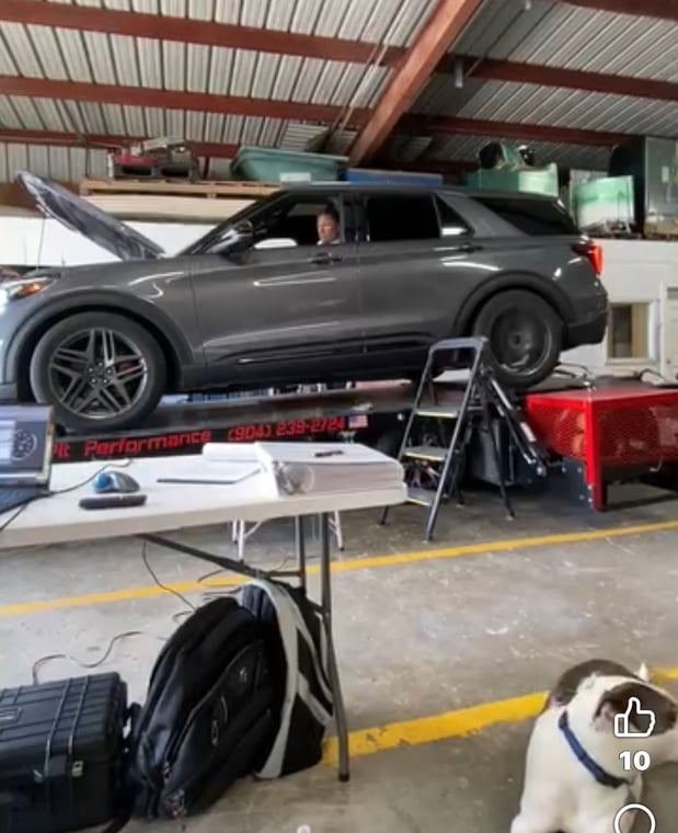 Images Snake Pit Performance