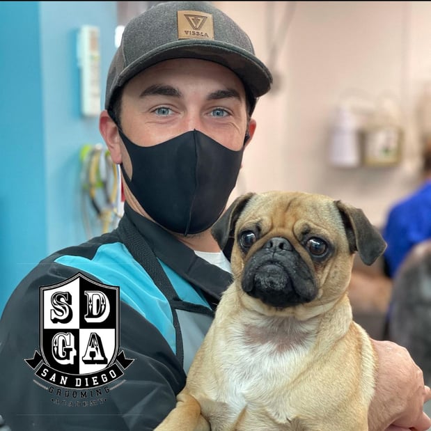 Images San Diego Grooming Academy
