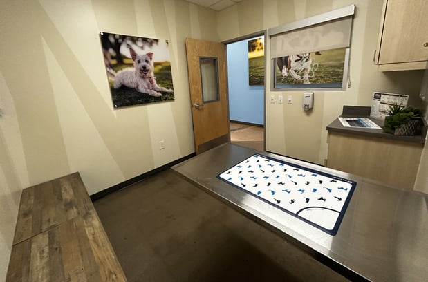Images Vetco Total Care Animal Hospital