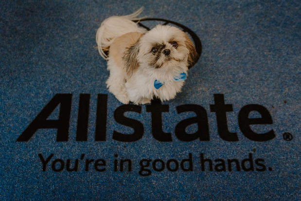 Images Luis Vienrich: Allstate Insurance