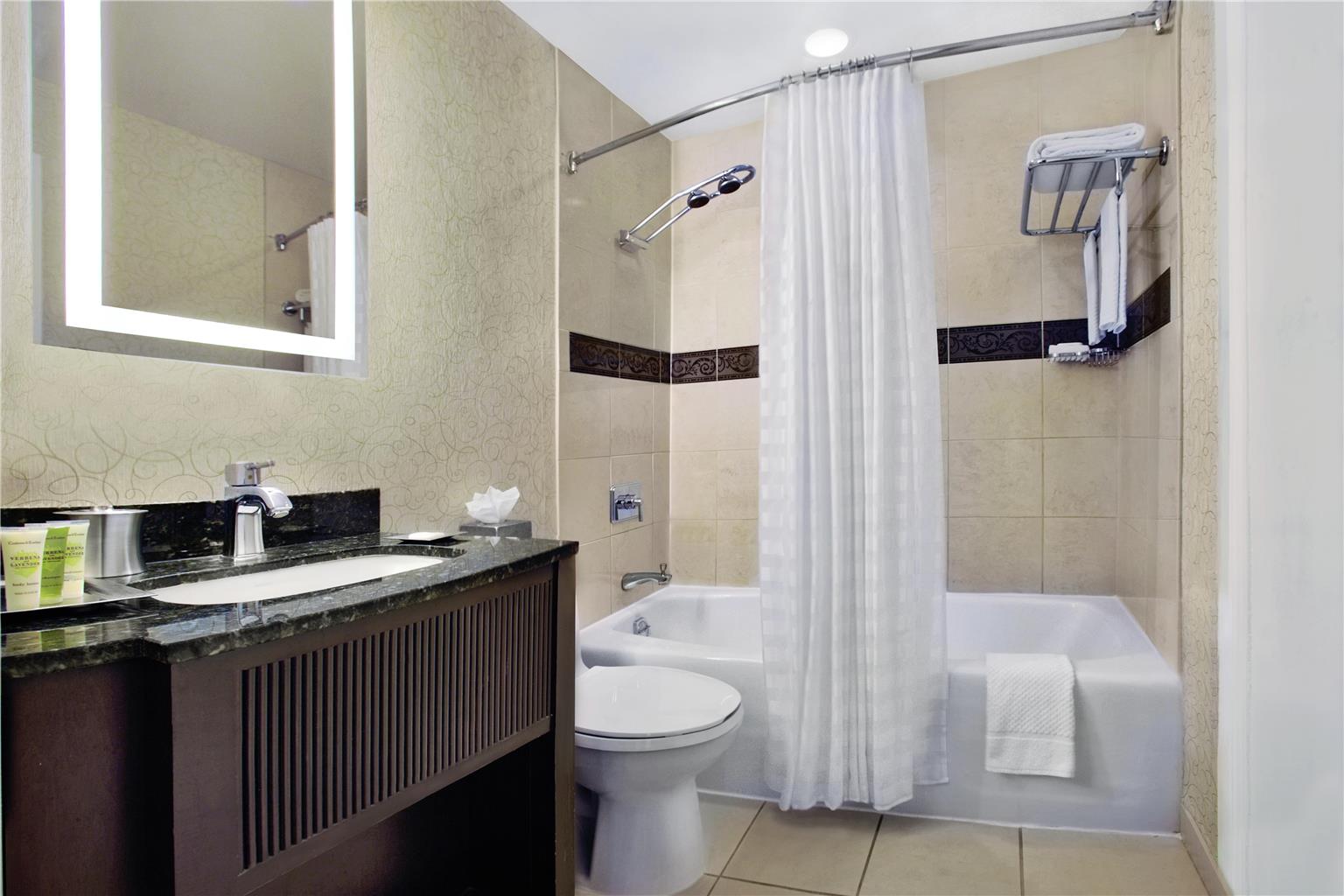 Guest room bath 