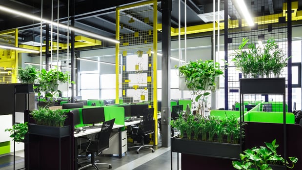 Images Mister Green Jeans Interior Office Plantings
