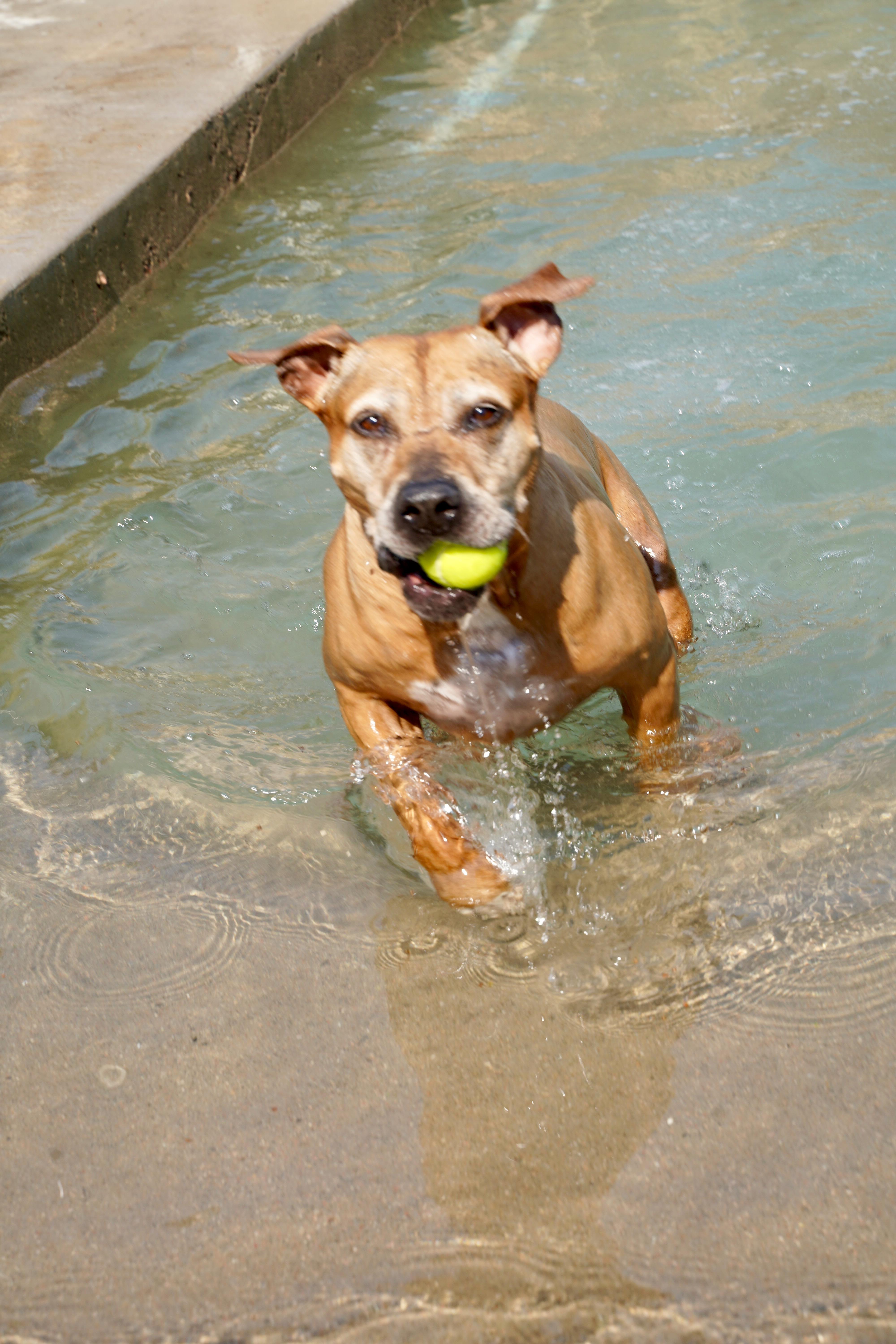 Fun Swim Time!