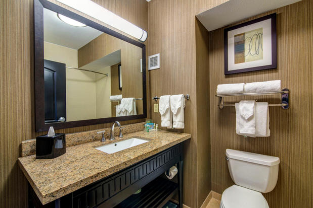 Images Holiday Inn Arlington NE-Rangers Ballpark by IHG