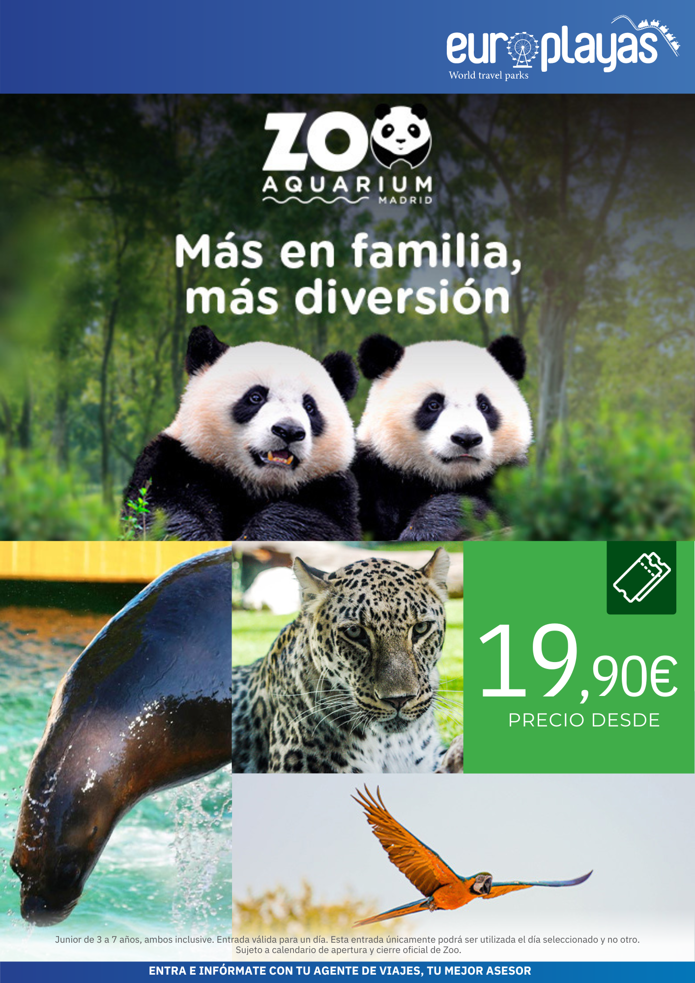 Images Ie Viajes