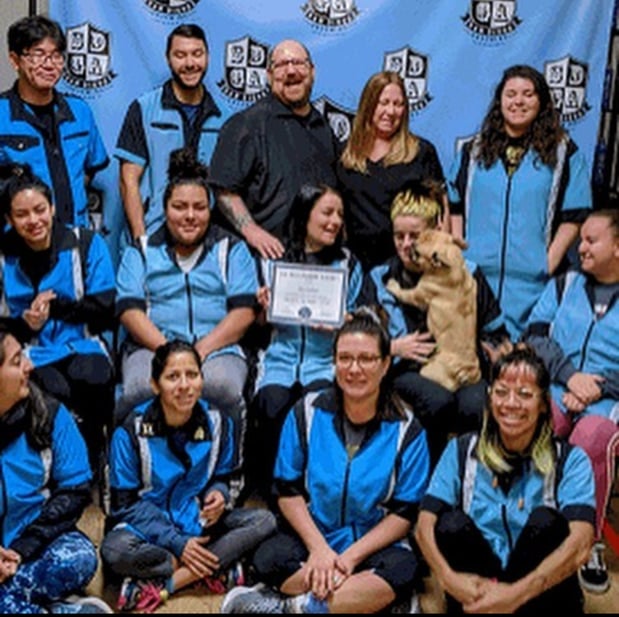 Images San Diego Grooming Academy
